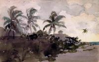 Homer, Winslow - Coconut Palms